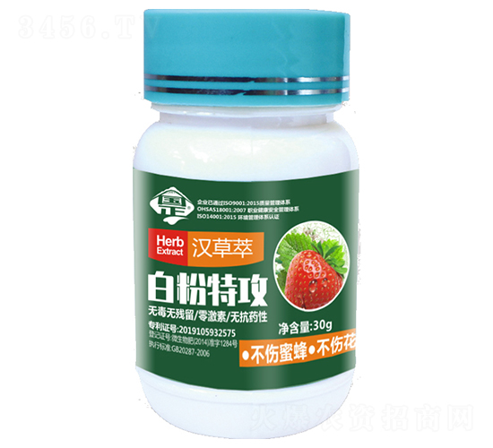 �׷��ع�-������