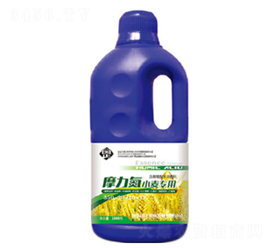 Ħ����С����(zhu��n)��׷��-������