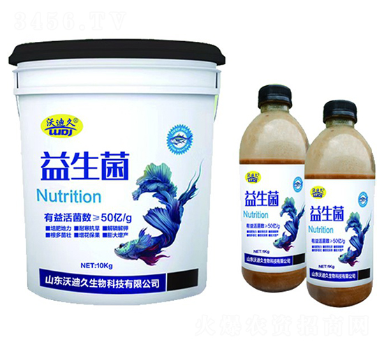 ������-�ֵϾ�