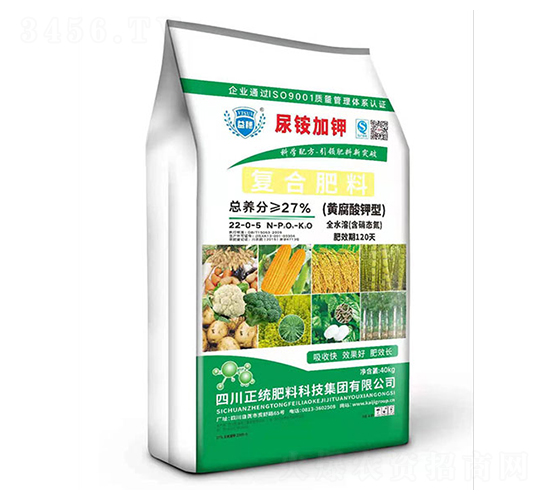 �S������͏�(f��)�Ϸ���22-0-5-�P������