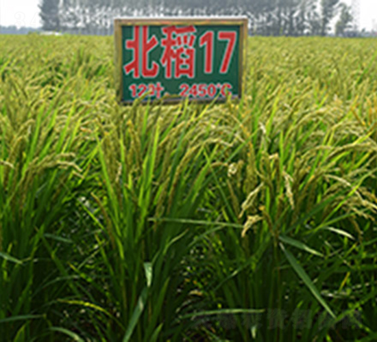 ����17̖-ˮ���N��-���ϷN�I(y��)