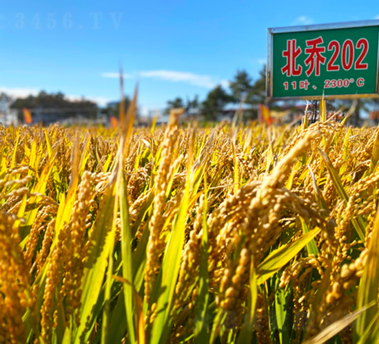 ����202-ˮ���N��-���ϷN�I(y��)