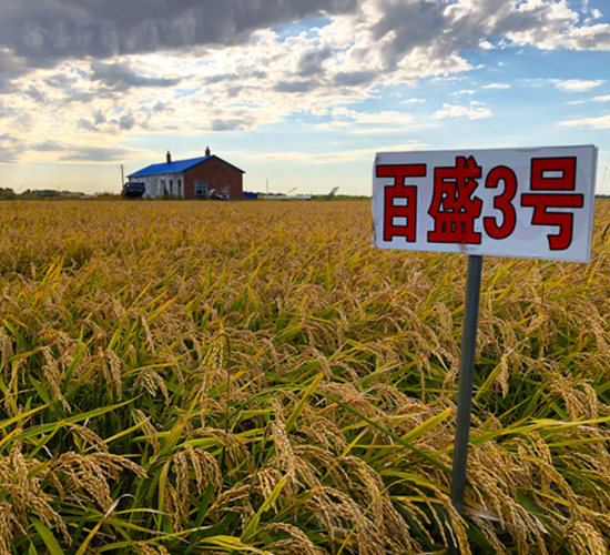 ��ʢ3̖-ˮ���N��-���ϷN�I(y��)