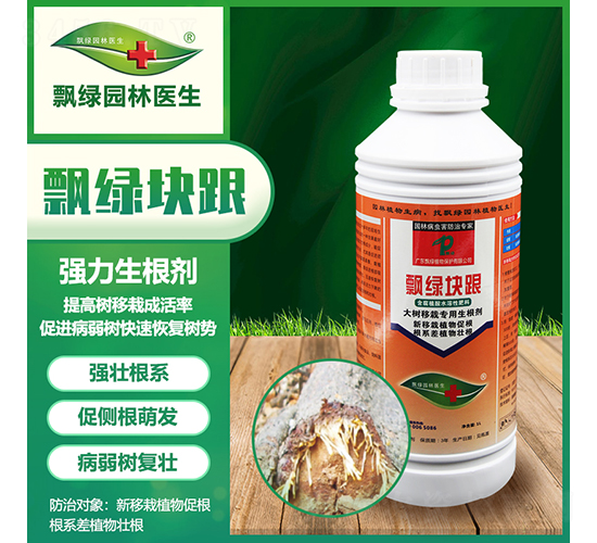 ������Ԍ���������-�h�G�K��-�h�G