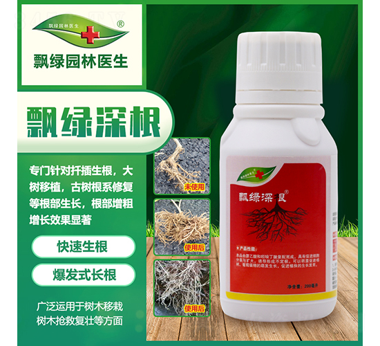 �h�G���-�h�G