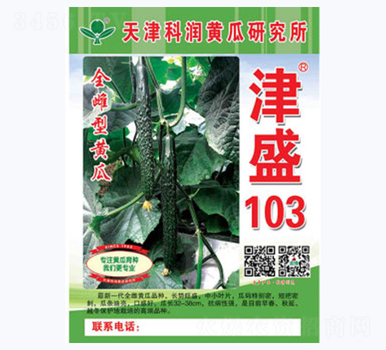 津盛103-黃瓜種子-科潤(rùn)種業(yè)