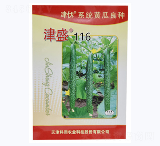津盛116-黃瓜種子-科潤種業(yè)
