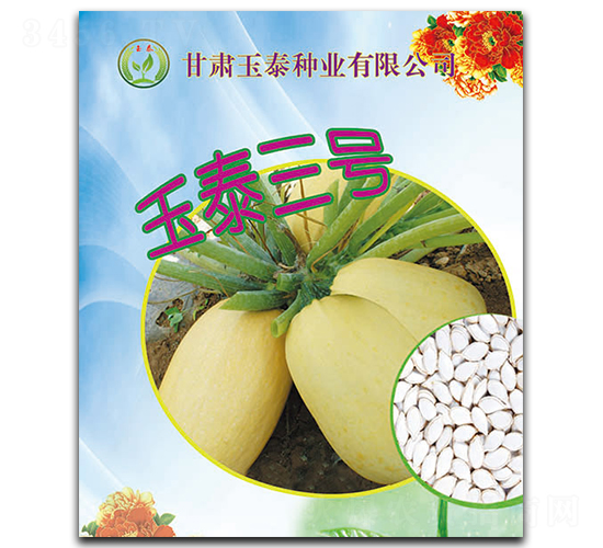 玉泰三號(hào)-西葫蘆種子-玉泰種業(yè)