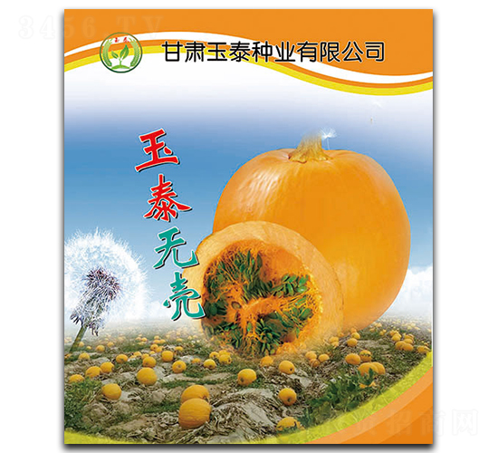 玉泰無(wú)殼-無(wú)殼葫蘆種子-玉泰種業(yè)