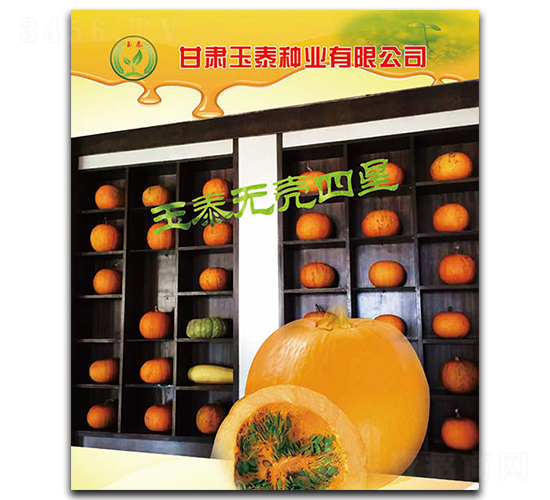 ��̩�o������-�o�����J�N��-��̩�N�I(y��)