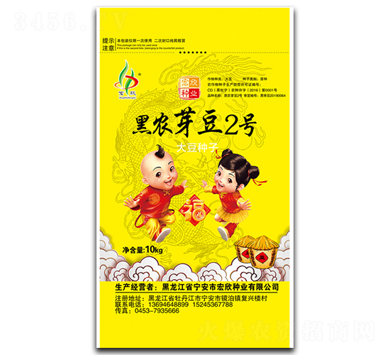 黑農(nóng)芽豆2號-大豆種子-宏欣種業(yè)