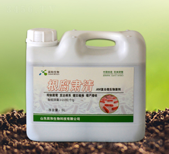 �����C��-��������