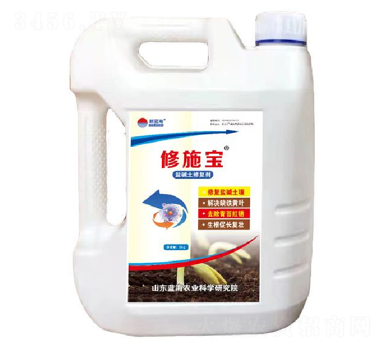 ��ʩ���}�A���ޏ̈́�-�{��