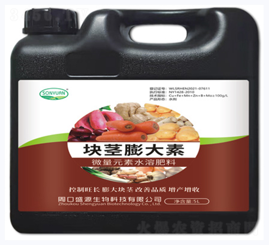 �K�o�����-ʢԴ