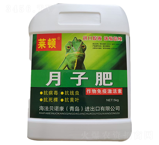 �������߼�����-���ӷ�-�R�D