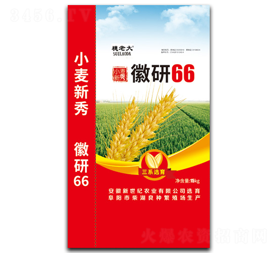 徽研66-小麥種子-三高種業(yè)