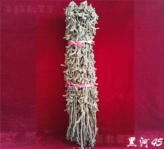 黑河45-大豆種子-宏圖種業(yè)