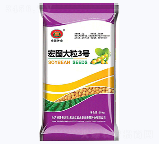 宏圖大粒3號(hào)-大豆種子-宏圖種業(yè)