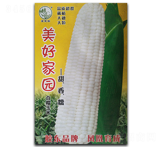 美好家園-糯玉米種子-鳳凰種業(yè)