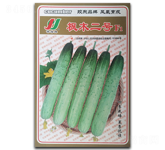 ��ľ��̖F1-�S�ϷN��-�P�˷N�I(y��)