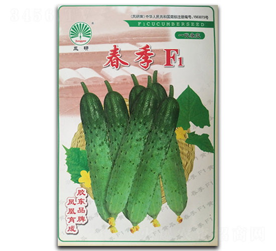 春季F1-黃瓜種子-鳳凰種業(yè)