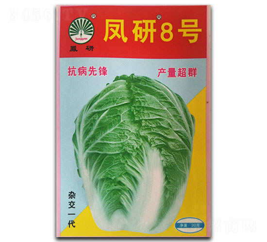 �P��8̖-�ײ˷N��-�P�˷N�I(y��)