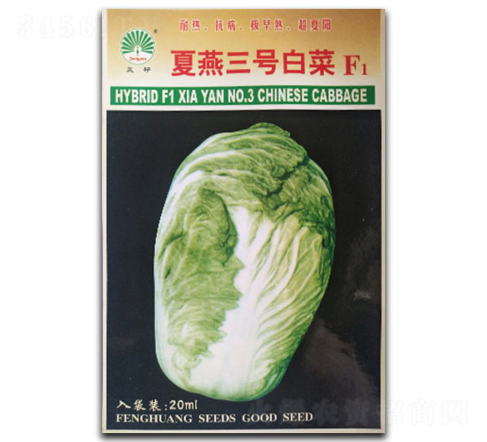 ������̖(h��o)-�ײ˷N��-�P�˷N�I(y��)