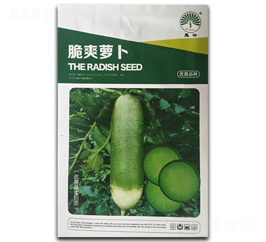 脆爽蘿卜-蘿卜種子-鳳凰種業(yè)