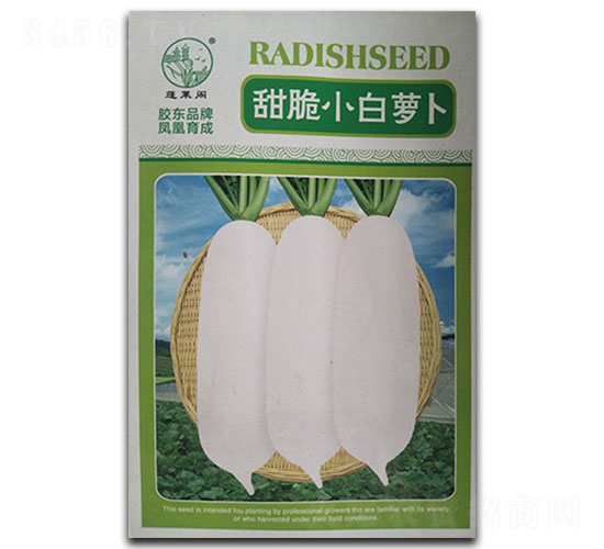 甜脆小白蘿卜-蘿卜種子-鳳凰種業(yè)