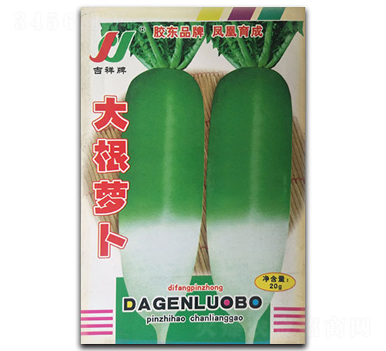 大根蘿卜-蘿卜種子-鳳凰種業(yè)