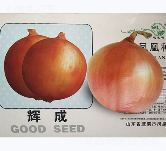 �x��-���[�N��-�P�˷N�I(y��)