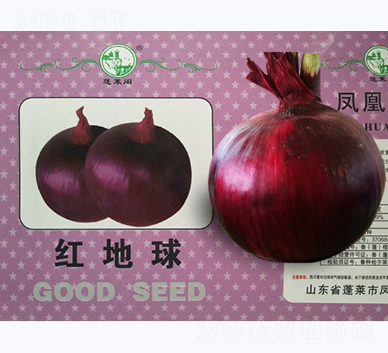 �t����-���[�N��-�P�˷N�I(y��)