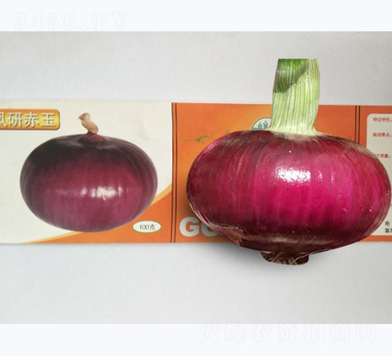 �P�г���-���[�N��-�P�˷N�I(y��)