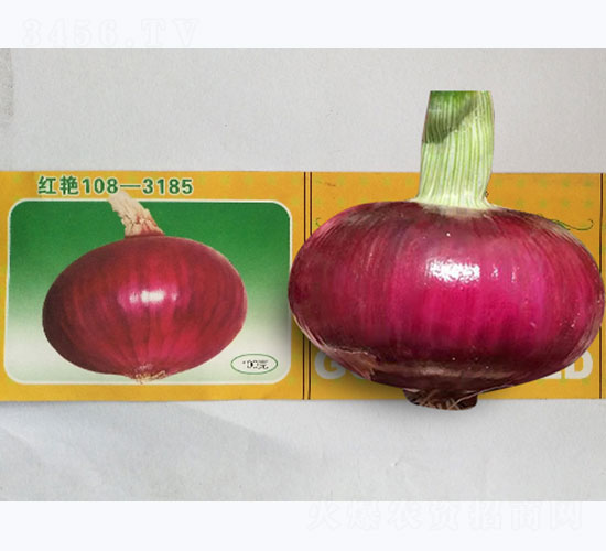 �t�G-���[�N��-�P�˷N�I(y��)