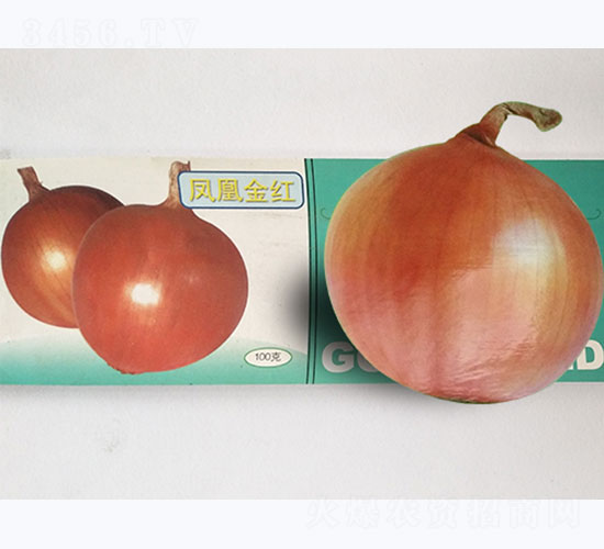 �P�˽�t-���[�N��-�P�˷N�I(y��)