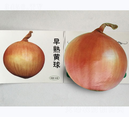 �����S��-���[�N��-�P�˷N�I(y��)