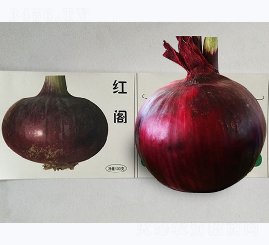 �t�w-���[�N��-�P�˷N�I(y��)