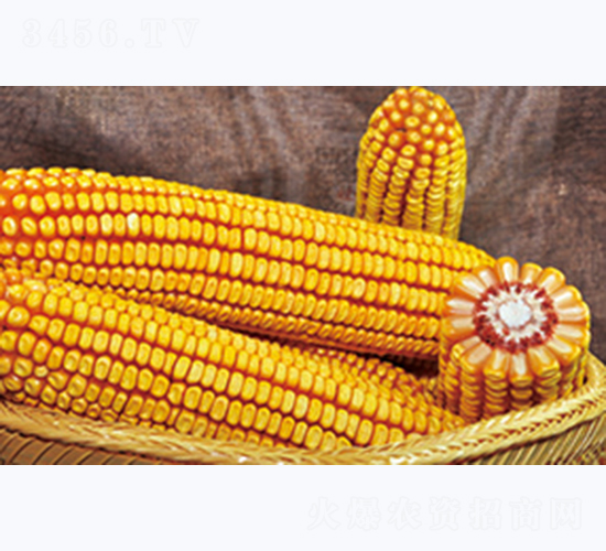 �L�S59-���׷N��-�����N�I(y��)