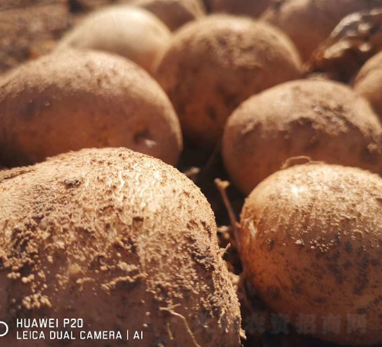 ������-�R����N��-����N�I(y��)