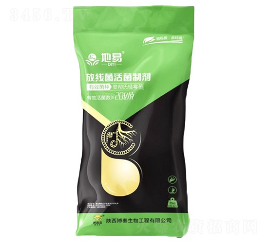 �ž�������Ƅ�-����-��������