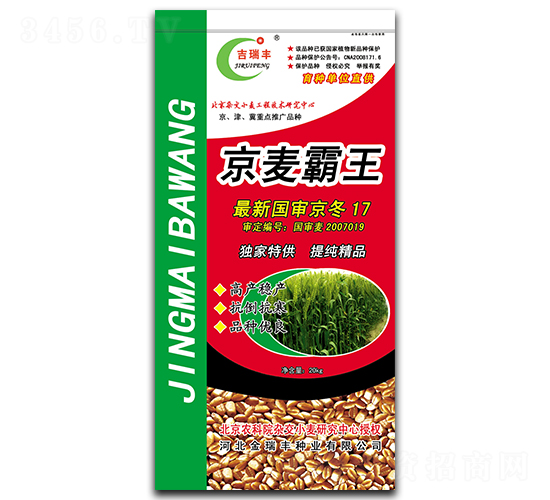 京麥霸王-小麥種子-金瑞豐種業(yè)