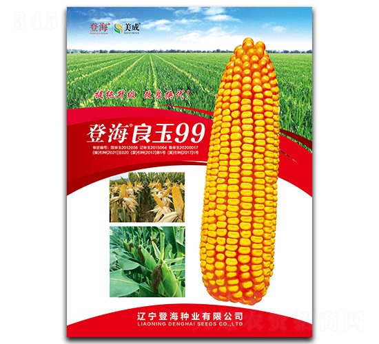 �Ǻ�����99-���׷N��-�Ǻ��N�I(y��)