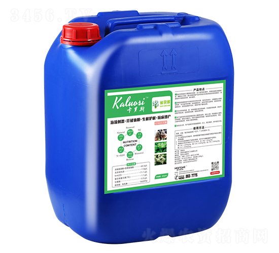 ȸ�`��-���_˹-��̷ʘI(y��)