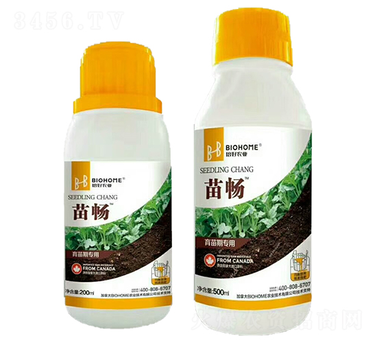 �����ڌ���-�畳-�����r(n��ng)�I(y��)