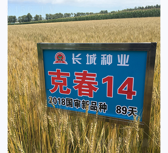 �˴�14-С���N��-�L�ǷN�I(y��)