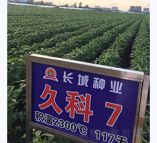 �ÿ�7̖(h��o)-�󶹷N��-�L�ǷN�I(y��)