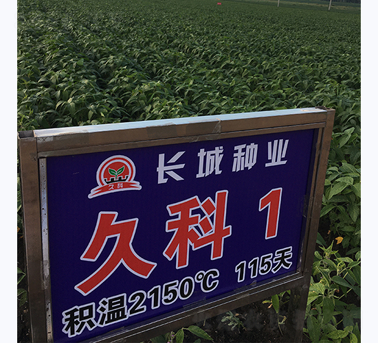 �ÿ�1̖-�󶹷N��-�L�ǷN�I(y��)