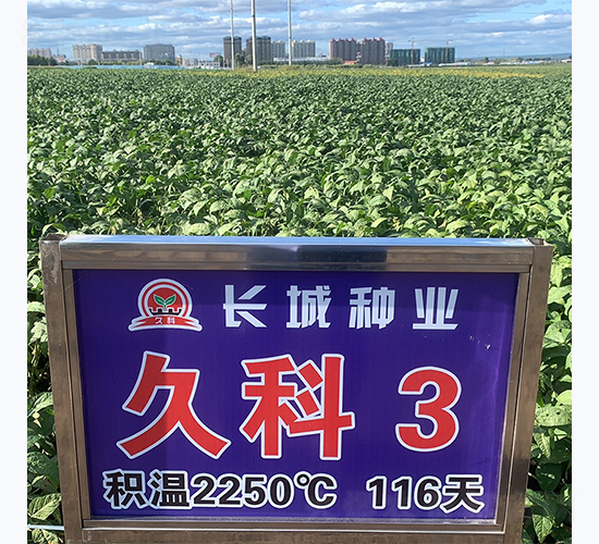 �ÿ�3̖(h��o)-�󶹷N��-�L(zh��ng)�ǷN�I(y��)