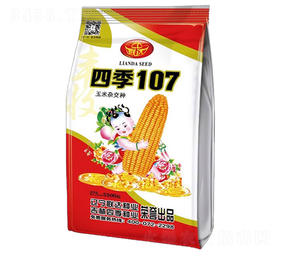 四季107-玉米種子-四季種業(yè)