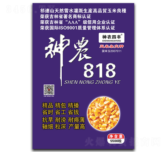神農(nóng)818-玉米種子-神農(nóng)種業(yè)